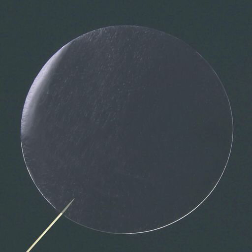 未開封シール封印シール1000枚透明丸クリア円(透明25mm)