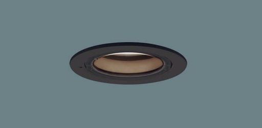 パナソニック(Panasonic)天井埋込型LED軒下用ダウンライト浅型8H高気密SB形防湿型防雨型/埋込穴φ100パネル付型オフブラックLRD9101