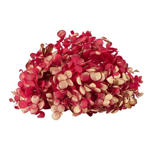 東北花材プリザーブドフラワーFMソフトアナベルキャンディBOXBOXサイズ□8xH8cm1輪入DT080788-zzz