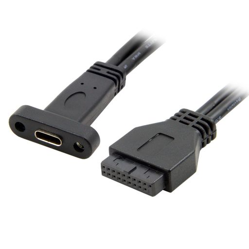 cableccシングルポートUSB3.1TypeCUSB-Cメス-USB3.0マザーボード19ピンヘッダーケーブル40cm