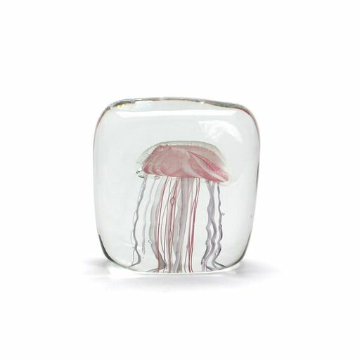 HEREジェリーフィッシュツイストレッグJellyfishTwistedLeg”Square/Pink”