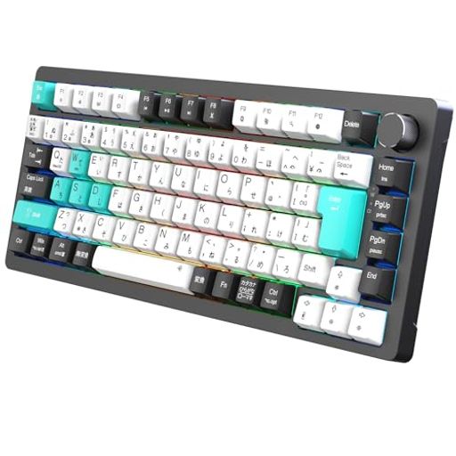 メカニカルキーボード【2025年業界オリジナル開発・日本語配列とカナ印字一体】75%ガスケットゲーミン..