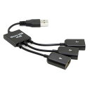 cableccUSB2.0~3ポートハブケーブルバスパワー外部インターフェイスアダプターマルチポートUSBスプリッターノートパソコンデスクトップマウスディスク用(2)
