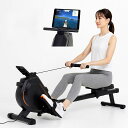 アルインコ(ALINCO)ローイングマシン家庭用ボート漕ぎマシン健康器具全身運動ダイエット器具FA3300A