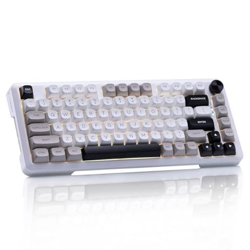e元素ゲーミングキーボード82キー シルバーウッド軸のメカニカル式キーボード Bluetoothと2.4Gワイヤレス無線とUSB有線の3つモード接続 銀軸を採用アンチゴーストキー RGBバックライト付き