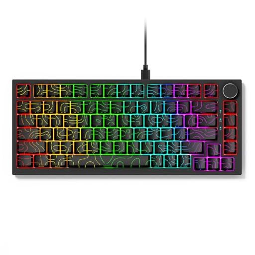 Merdia メカニカルキーボード クラックサイド刻印版 有線 82キー ゲーミングキーボード 8K 磁気式スイッチ 英語配列 78%サイズ RGBライティング Mac&Win用