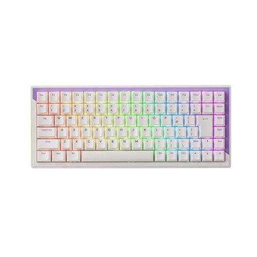 DrunkDeer G75 ラピッドトリガーキーボード eスポーツゲーミングキーボード 磁気スイッチ 調整可能なアクチュエーション ラストウィンモード 75%サイズ 日本語配列 パープル