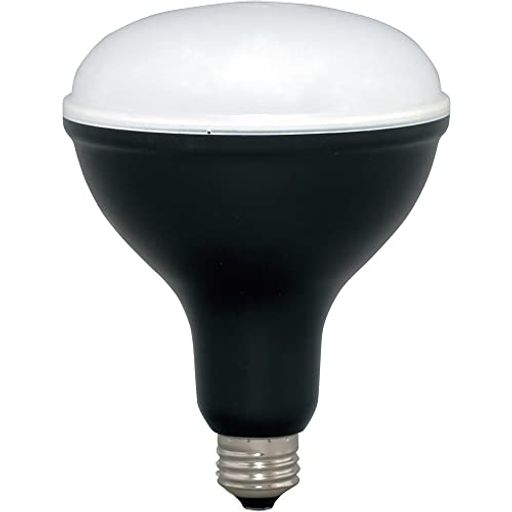 アイリスオーヤマ LED 作業灯 投光器 投光器用交換電球 LED電球 ワークライト 1800lm