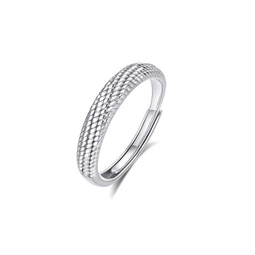 [バリアスチープ]S925銀リング8R-2M-4