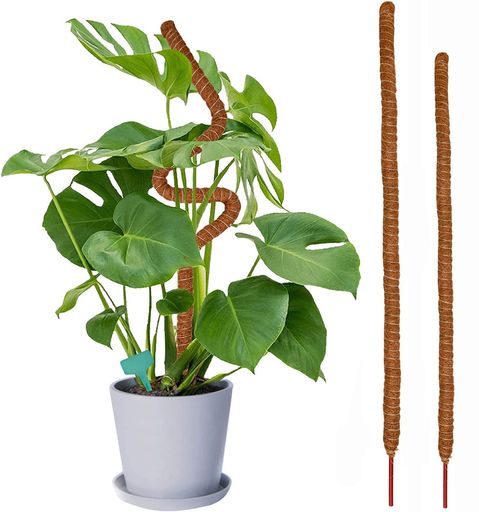 【セット内容】サイズ:1個70cm+1個60cm 【高品質素材】植物が包み込みやすく、水を吸収しやすいヤシ殻由来の天然繊維を使用した植物支持柱です。 【使いやすい】前端の尖った木の棒を土に差し込み、植物を固定するだけです。 【耐久性】に硬くて耐摩耗性があります。 長く使っても風化せず、植物や環境を傷つけません。 【適用範囲】蘭、藤などのつる性植物に適用されます。植物や低木のための多目的、再利用可能な植物支柱。