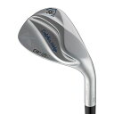 ドルフィンウェッジセミグースネックDW-125GDolphinDP-231Wedge56°