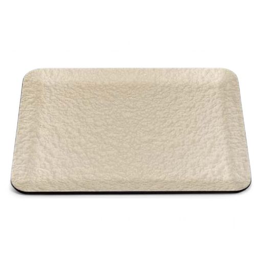 J-kitchensランチョンマット盆日本製高級盆トレー耐熱A)尺5寿シャンパンゴ-ルドアクアSL(44.4cmx35cmx1..