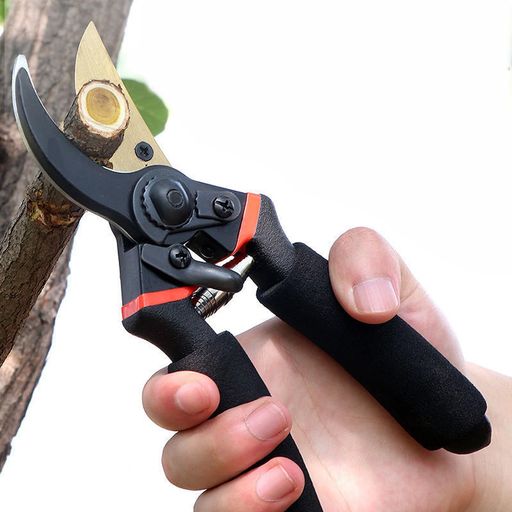Ф߱ѤϤХ߿͵դӤˤSK85úǹݿϰ䤹ϥɥݻǤʪʪɤÿ