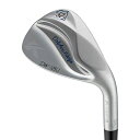 ドルフィンウェッジセミグースネックDW-125GDolphinDP-231Wedge52°