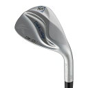 ドルフィンウェッジセミグースネックDW-125GDolphinDP-231Wedge60°