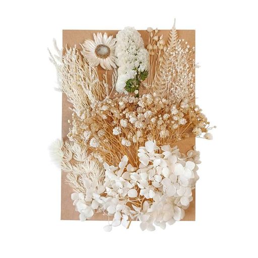 �ϥ�ɥᥤ�ɺ����ֻ�ྮʬ���ϡ��Хꥦ��ץꥶ���֥ɥե��ɥ饤�ե�����եȲֺॻ�åȼ���ߥ˲����֥ɾ��������٤ǥ��ꥸ�ʥ��Ǻॢ�������꡼����(�ۥ磻...