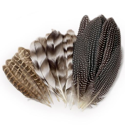 天然キジの羽30枚DIYクラフト用15~22cmアソート野生の七面鳥の羽モルモット翼羽ウェディングホームパーティー装飾(3スタイル)