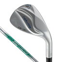 ドルフィンウェッジセミグースネックDW-125GN.S.PRO950GHneoWedge56°