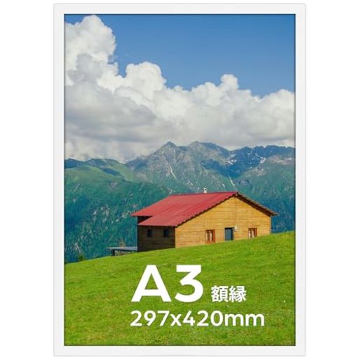 Serwrsw�۱�A3���̼̿��ݥ����������ȥե��ȥե졼���ɳݤ�29.7x42cm�ۥ磻��1��