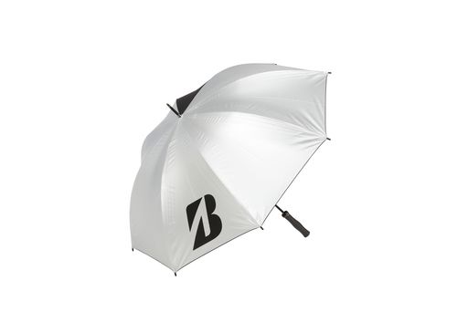 BRIDGESTONE(֥¥ȥ)׸仱С2024ǯǥUM2402SV