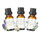 LOXIMアロマオイルセットエッセンシャルオイルブレンド精油10mlx3本(SweetDreamscape:ラベンダー、バニラ、ユーカリ、檜など)アロマ天然アロマディフューザー/アロマストーン/加湿器/アロマポ…