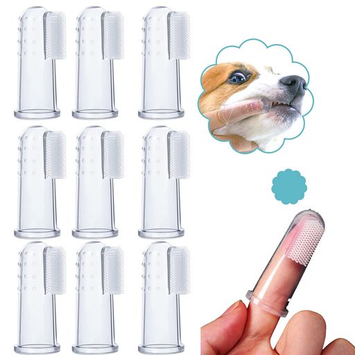 RICISUNG 犬 歯ブラシ 犬用歯磨き 透明ペット用歯ブラシ 10個セット 犬用歯ブラシ 指ブラシ 犬 猫 小型犬 中型犬 大型犬 ペット用品