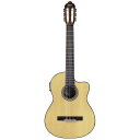 Valencia(バレンシア)エレガットギターPU付全長995mm重量1800gVC564CE