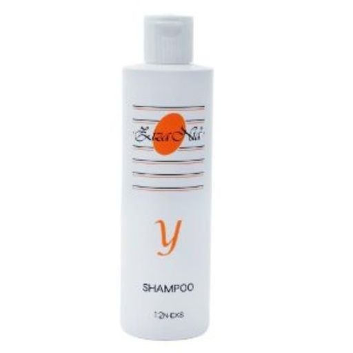 株式会社リバーヴ ジザニア シャンプー Y 300ml