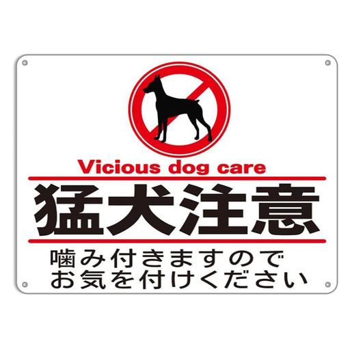 �Ը����ե��ƥå��������к��������°���ĥӥ�ơ����֥ꥭ���İ����к������ɻ���ˬ�����շٹ𥵥��󸼴ز����Ѹ�A