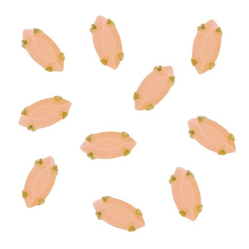 BonnailxManiClosetONEDROPߥ˥륯