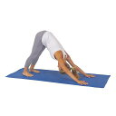SunnyHealth&Fitness(サニーヘルス&フィットネス)ノンスリップ厚手ワイドエクササイズヨガマットブルーNO.031