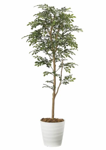 光の楽園フェイクグリーン造花トネリコ1.6m2107P320