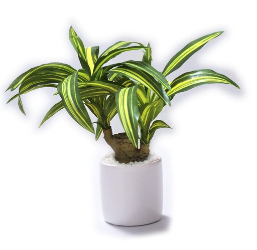 日本インソール工業インテリアグリーン観葉植物フェイクミニ人工造花白鉢付き光触媒消臭除菌日本製おしゃれドラセナ(幸運の木)高さ25cmx幅20cm(花器サイズ直径8cm)