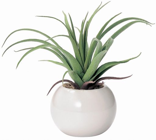 フルタック(Fultac)光触媒消臭抗菌防カビフェイクグリーンラウンドポットエアプランツインテリアグリー..