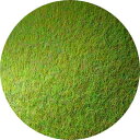 グリーンスタッフワールド(Greenstaffworld)マーシャンフルーアグラスグリンチグリーン(200ml)ホビー用情景素材GSWD-12623