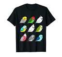 かわいいオウム柄ぽっちゃり鳥落書きカワイイオウムTシャツ