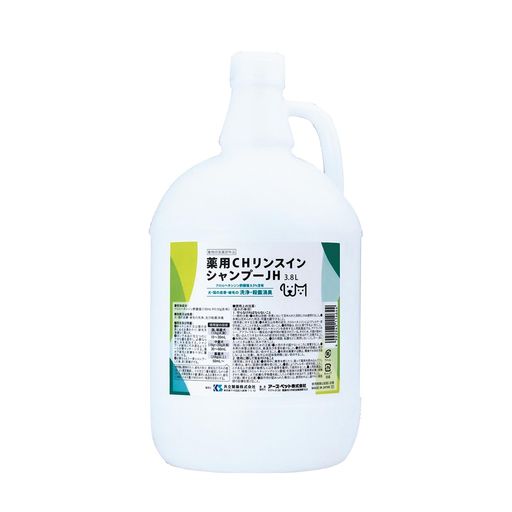 CH󥹥󥷥סJH3.8L