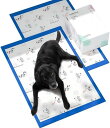 IDOLYFANペットシーツ犬用猫用45x60cm40枚入り5層中厚手防漏超吸収消臭トイレトレーニング小型・中型犬うさぎ/ハムスター対応屋内/介護/旅行用