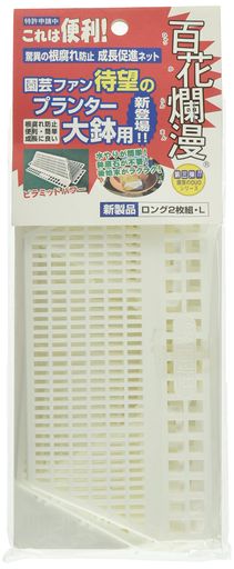 ɴ���̡����2����L������