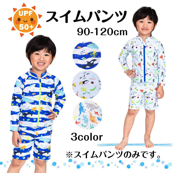 Rakuten - ☆ スイムパンツ 水着 昆虫 恐竜 マリン 紫外線対策 UPF50＋ UVカット 水泳 プール スイムグッズ 海 パンツ 男の子 キッズ ジュニア 子供 子ども こども 幼稚園 ダイナソー 虫 コン ブルー オフシロ シロ 90cm 100cm 110cm 120cm 送料無料