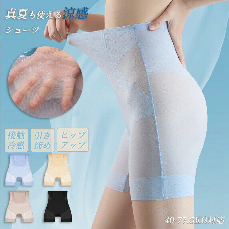 ǰ1900ߡ  ô 쥹 硼 ѥ ǥ   䴶 ô ܿ䴶 礭 ǥ ä 쥹 ...