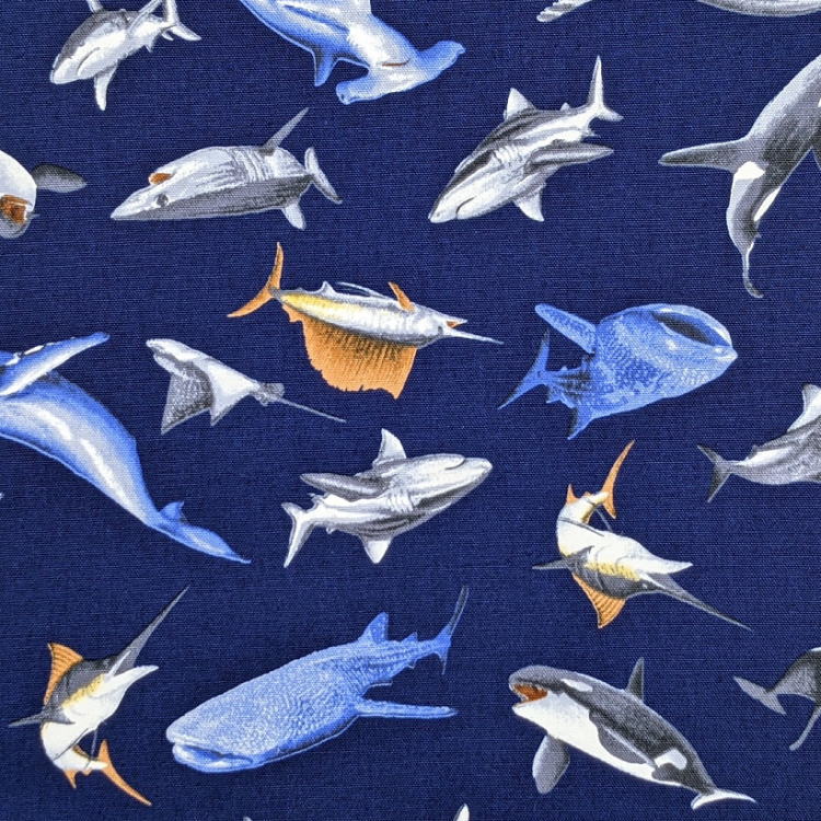 ��ŷ�����ѡ�SALE 50��OFF��Ķ�ߥ˶����ޡ�SSS��(11cm��8cm)�ڳ�������ʪ�� �ͥ��ӡ��۶��� �ݡ��� ������� �ץ��� �ޥ�̵�� ������ �ץ쥼��� ���ä����� ���åȥ����� �� �� ����ۥ� ���� �� �ϥ󥫥� �ޥ��� �� �ˤλ� ��²�� ����� ���� ���륫 �ե��å��� ��