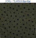 ナフキン・ランチクロス(43cm×43cm)正方形【デニム調 スター柄 デニムグリーン】ランチョンマット ランチマット 給食ナフキン 日本製 プリント コットン...
