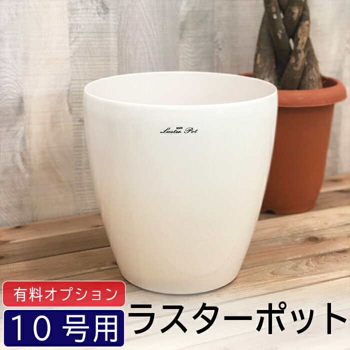 【10号鉢用】鉢カバー☆【ラスターポット】観葉植物とセット購入の特別価格！