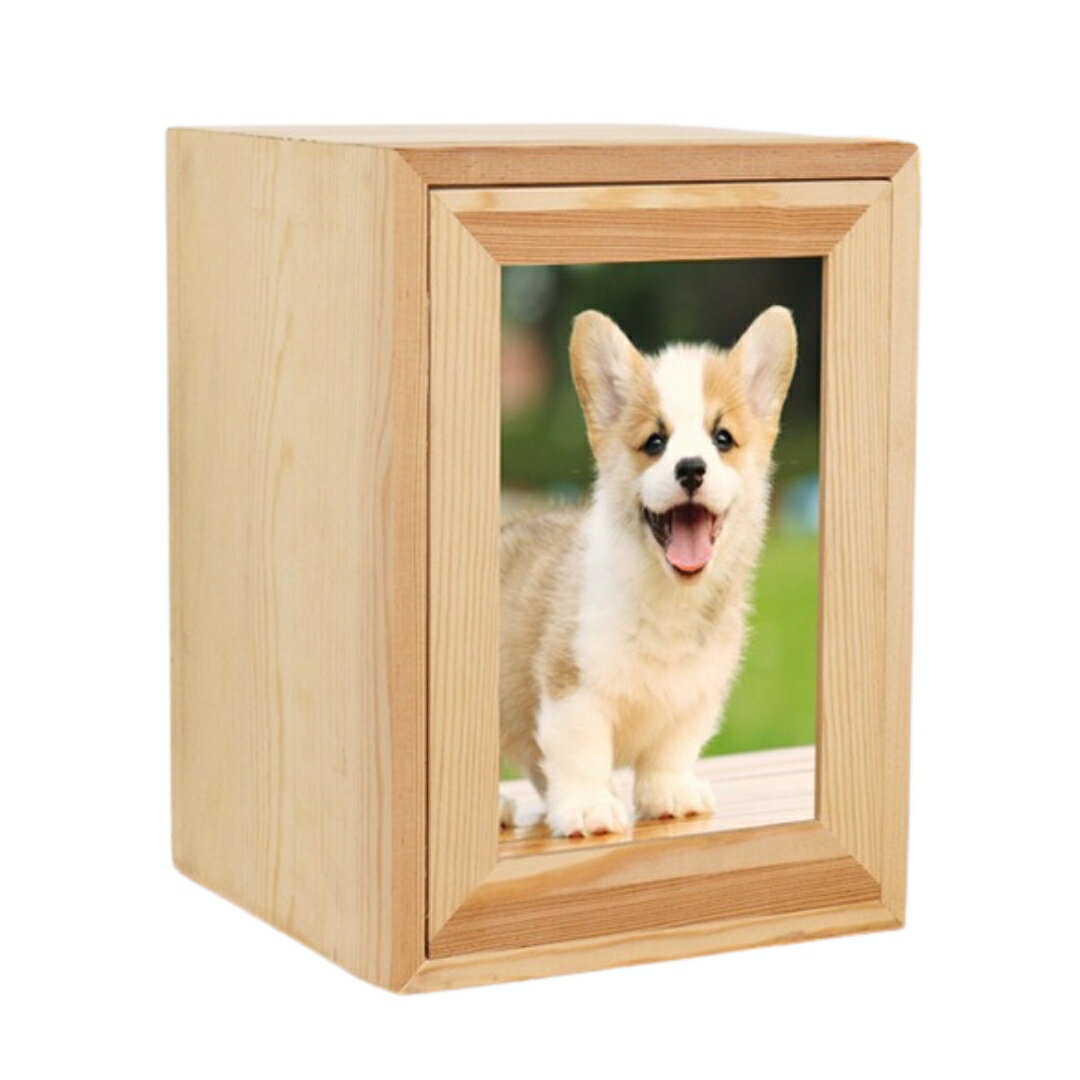 �ڥå� ʩ�� �������� ���ꥢ��ܥå��� �� ǭ ������ ����