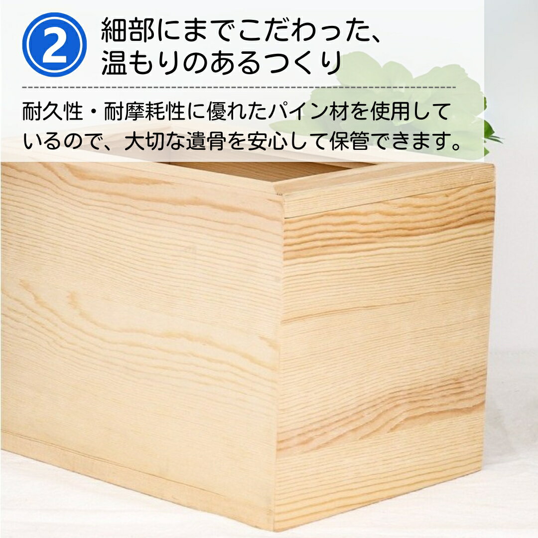 �ڥå� ʩ�� �������� ���ꥢ��ܥå��� �� ǭ ������ ����