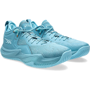 NOVA SURGE LOW 2(ノヴァ サージ ロー2)1061A051-400【ASICS】アシックス バスケットボールシューズ