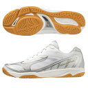 ☆送料無料☆MIZUNO FLY / ミズノフライ　V1GA233009【mizuno】ミズノバレー ...