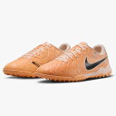 ※☆送料無料☆LEGEND 10 ACADEMY TF/レジェンド 10 アカデミー TF (グアバアイス×ブラック)　DZ3178-800【NIKE】ナイキトレーニングシューズ