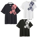 T[rXcanterbury JAPAN S/S SPECTATOR TEE@RA33777ycanterburyzJ^x[ Or[EFA